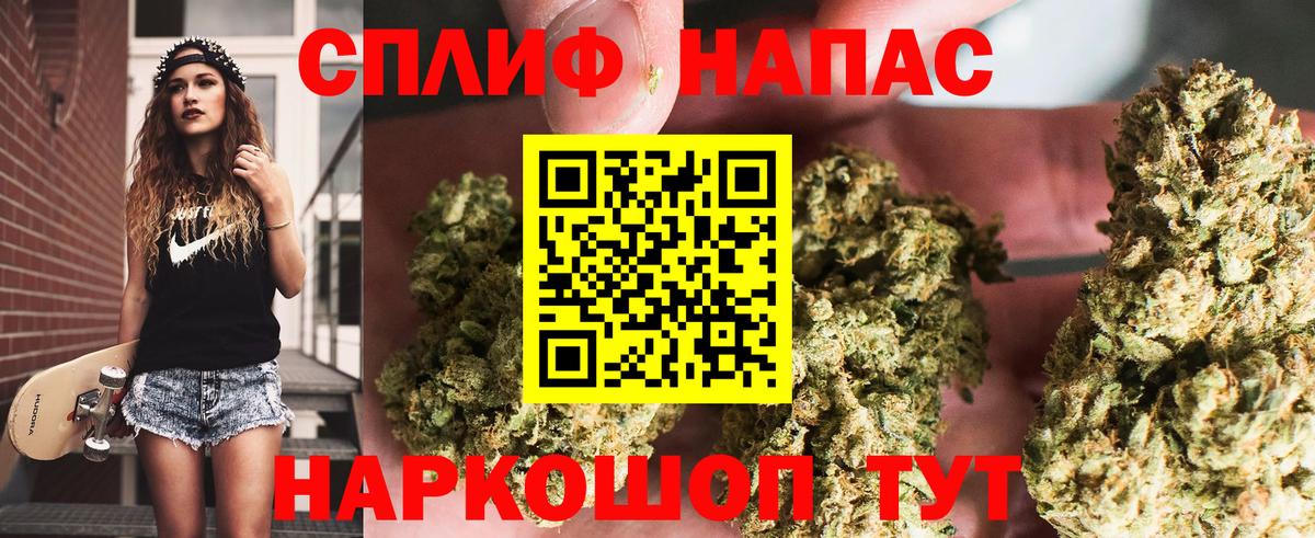 Конопля планчик Рославль